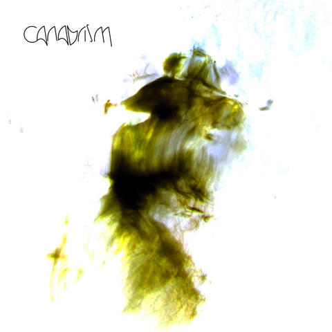 Canabrism - DVD Sampler